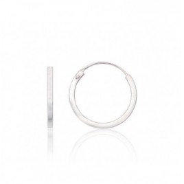 Sidabriniai auskarai –žiedai0