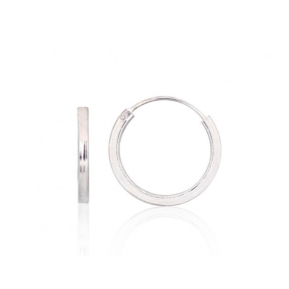 Sidabriniai auskarai –žiedai0