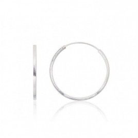 Sidabriniai auskarai –žiedai0