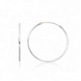 Sidabriniai auskarai –žiedai0