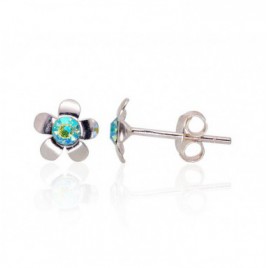 Sidabriniai auskarai –pusetai0