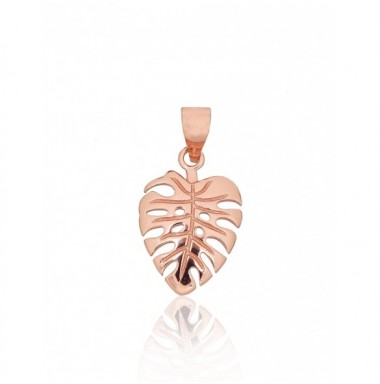 Sidabrinis pakabukas0