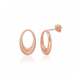 Auksiniai auskarai –pusetai0