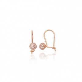 Auksiniai auskarai ant kabliukų0