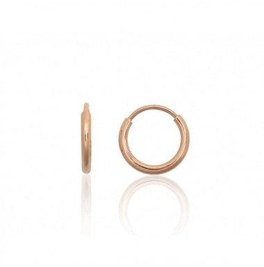 Auksiniai auskarai –žiedai0