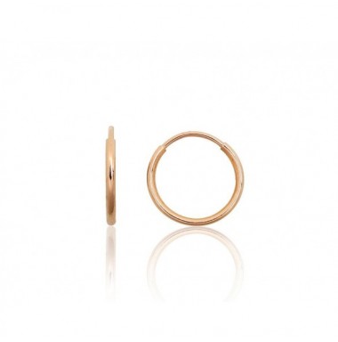 Auksiniai auskarai –žiedai0