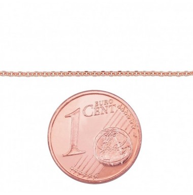 Auksinė grandinėlė Anchor 1 mm1
