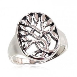 Sidabrinis žiedas-Žiedai