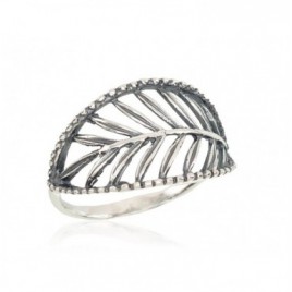 Sidabrinis žiedas-Žiedai