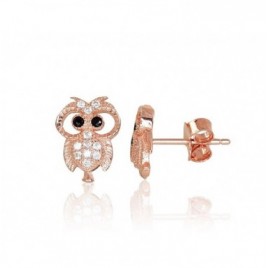 Sidabriniai auskarai –pusetai0