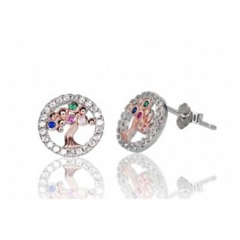 Sidabriniai auskarai –pusetai0