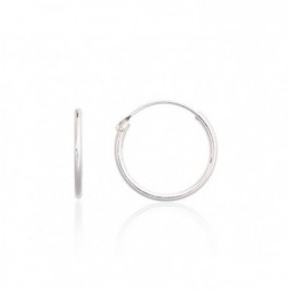 Sidabriniai auskarai –žiedai0