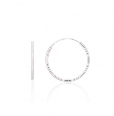 Sidabriniai auskarai –žiedai0