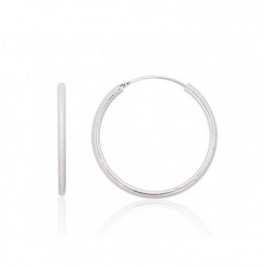 Sidabriniai auskarai –žiedai0