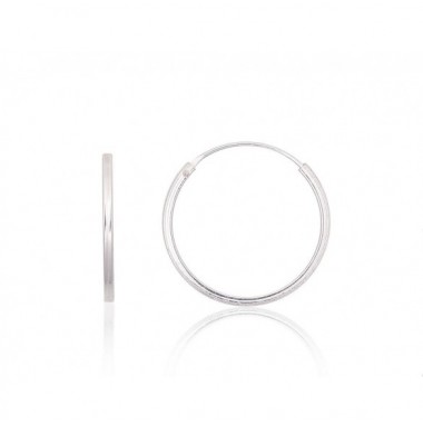 Sidabriniai auskarai –žiedai0