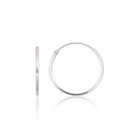 Sidabriniai auskarai –žiedai0