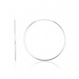 Sidabriniai auskarai –žiedai0