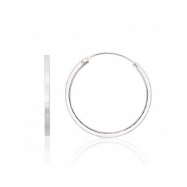 Sidabriniai auskarai –žiedai0