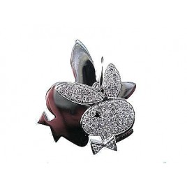 Sidabrinis pakabukas0