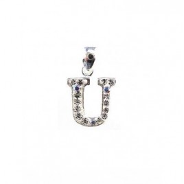 Sidabrinis pakabukas0