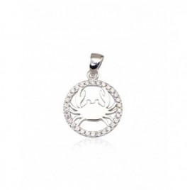 Sidabrinis pakabukas0