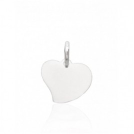 Sidabrinis pakabukas0