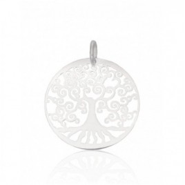 Sidabrinis pakabukas0