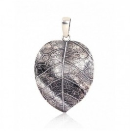 Sidabrinis pakabukas0