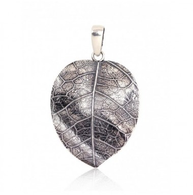 Sidabrinis pakabukas0