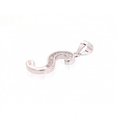 Sidabrinis pakabukas1