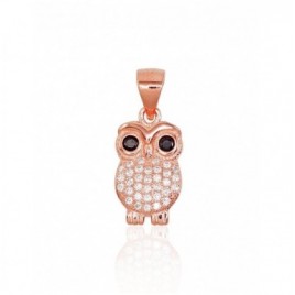 Sidabrinis pakabukas0