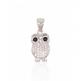 Sidabrinis pakabukas0