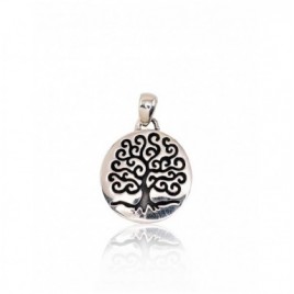 Sidabrinis pakabukas0