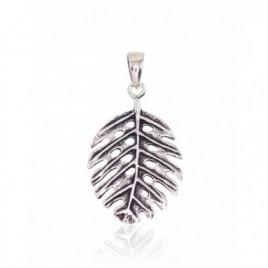 Sidabrinis pakabukas0