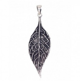 Sidabrinis pakabukas0