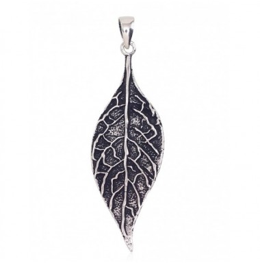 Sidabrinis pakabukas0