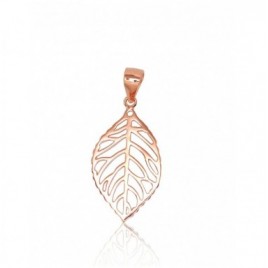 Sidabrinis pakabukas0