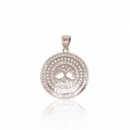 Sidabrinis pakabukas0