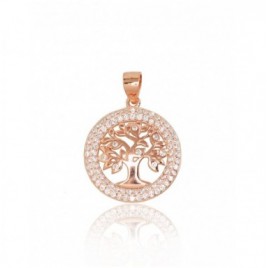 Sidabrinis pakabukas0