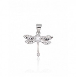 Sidabrinis pakabukas0