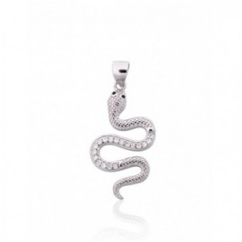 Sidabrinis pakabukas0