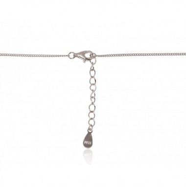 Sidabrinis vėrinys1