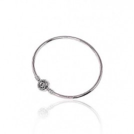 Sidabrinės apyrankės0