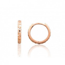 Auksiniai auskarai su apvaliu segtuku0