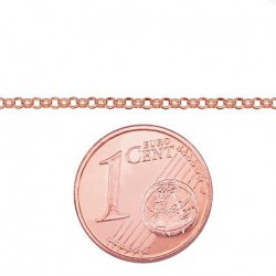 Auksinė grandinėlė Rollo 1 mm0 2