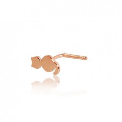 Auksinių auskarų vėrimas į nosį0