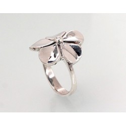 Sidabrinis žiedas-Žiedai 2