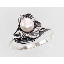 Sidabrinis žiedas-Žiedai