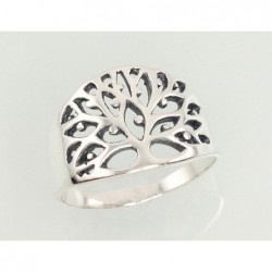 Sidabrinis žiedas-Žiedai