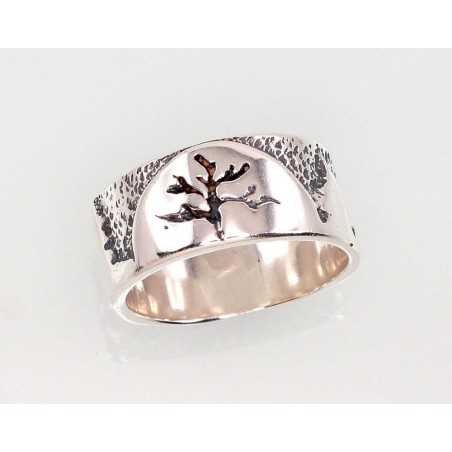 Sidabrinis žiedas-Žiedai